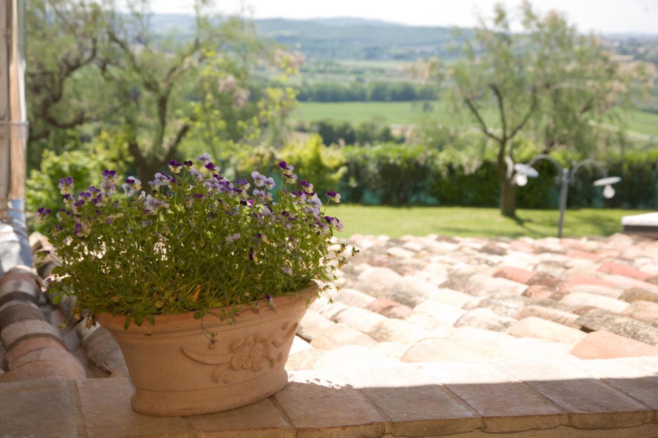 Il Girasole Country House Camerano Eksteriør bilde